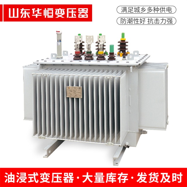 S13-10000/35黑水黑水黑水电力变压器